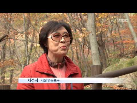 충주MBC 141030 안전하게 스마트 산행