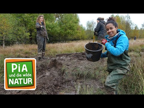 Mega Matsch im Moor | Reportage für Kinder | Pia und die wilde Natur
