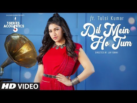Dil Mein Ho Tum — watch video