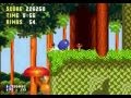Sonic 3 Knuckles Painto Edition Genesis Longplay