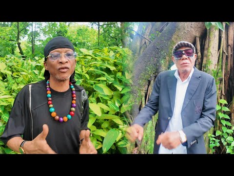 Kadiyoyo & Empereur Lelimba -Julien Tshibanda (Clip Vidéo)