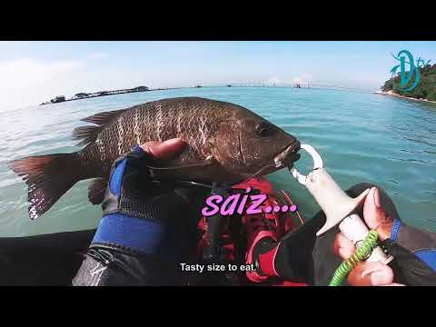 DevilCraft Fishing TV #47 - Saltwater Casting Jigs, Pulau Jerejak.