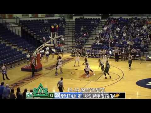 Devin Schmidt 2017 Mix