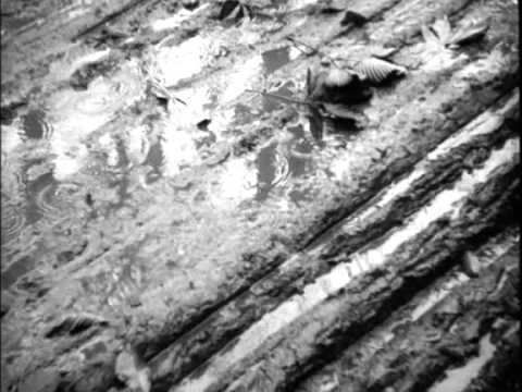 Dimitri Kirsanoff   Brumes D'autumne 1928