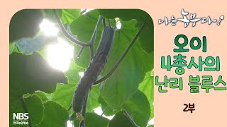[나는농부다 302회 2부] 오이4총사의 난리 블루스