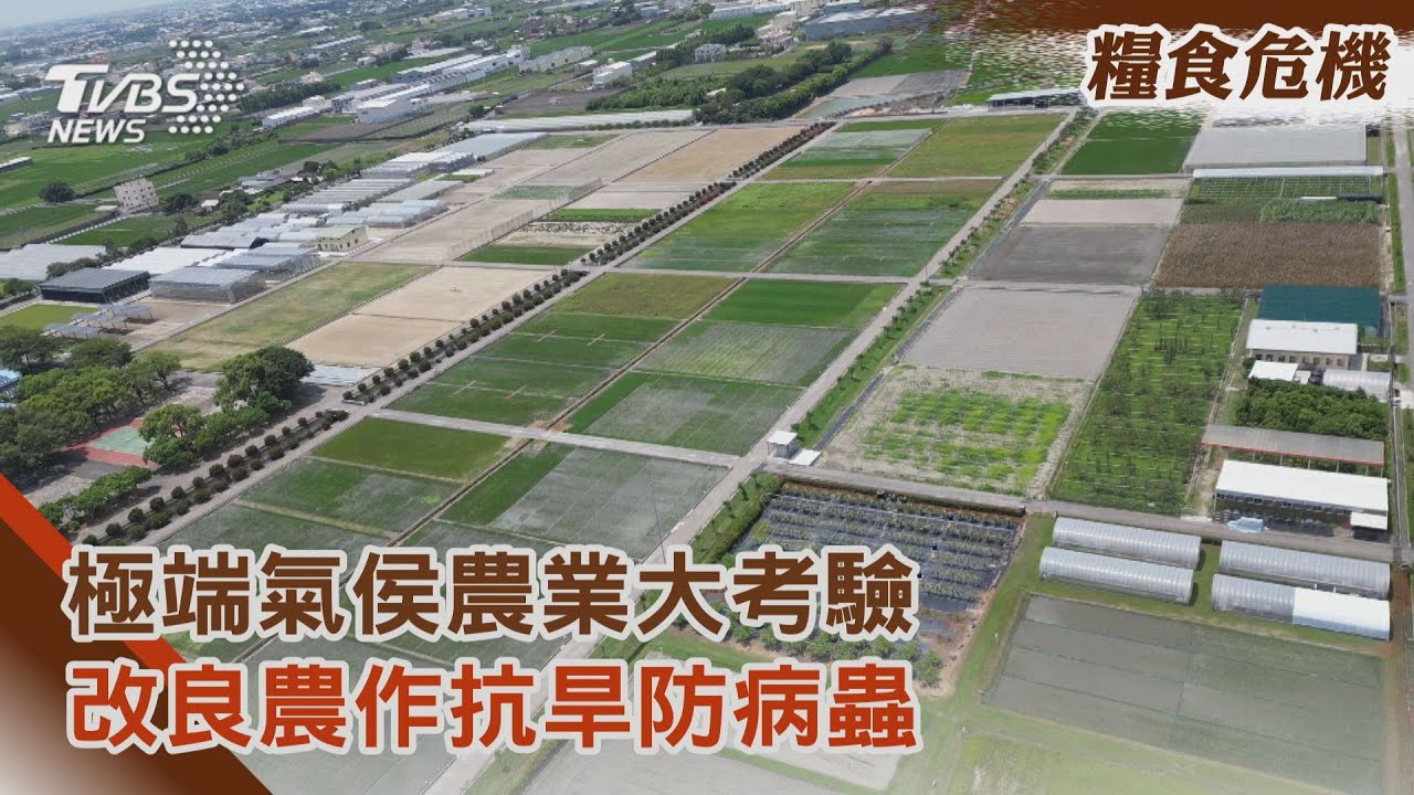 極端氣候加劇!農業成受災戶 打造永續農業解方