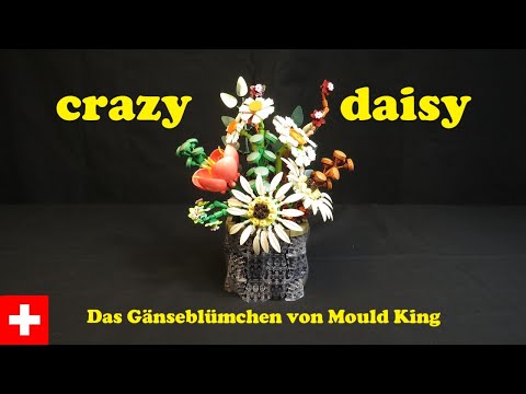 Mould King Daisy Flower Building Set Video Preview