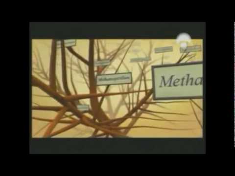 El Origen de las Especies