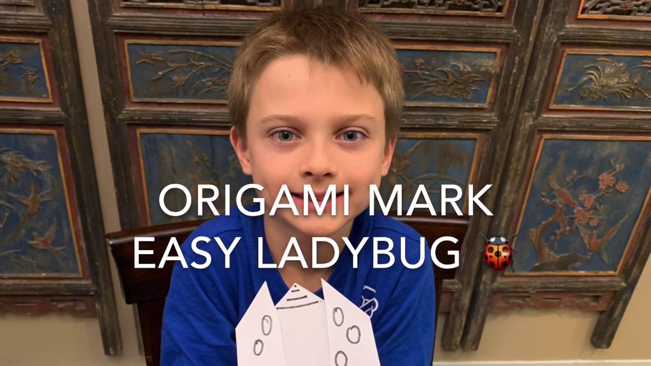 Easy Origami Ladybug (Origami Mark)