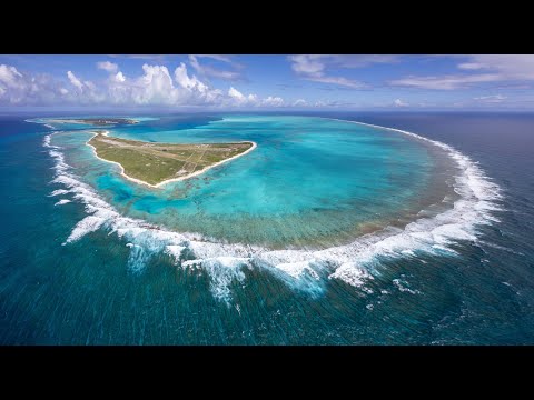 Midway Atoll Wildlife Cam