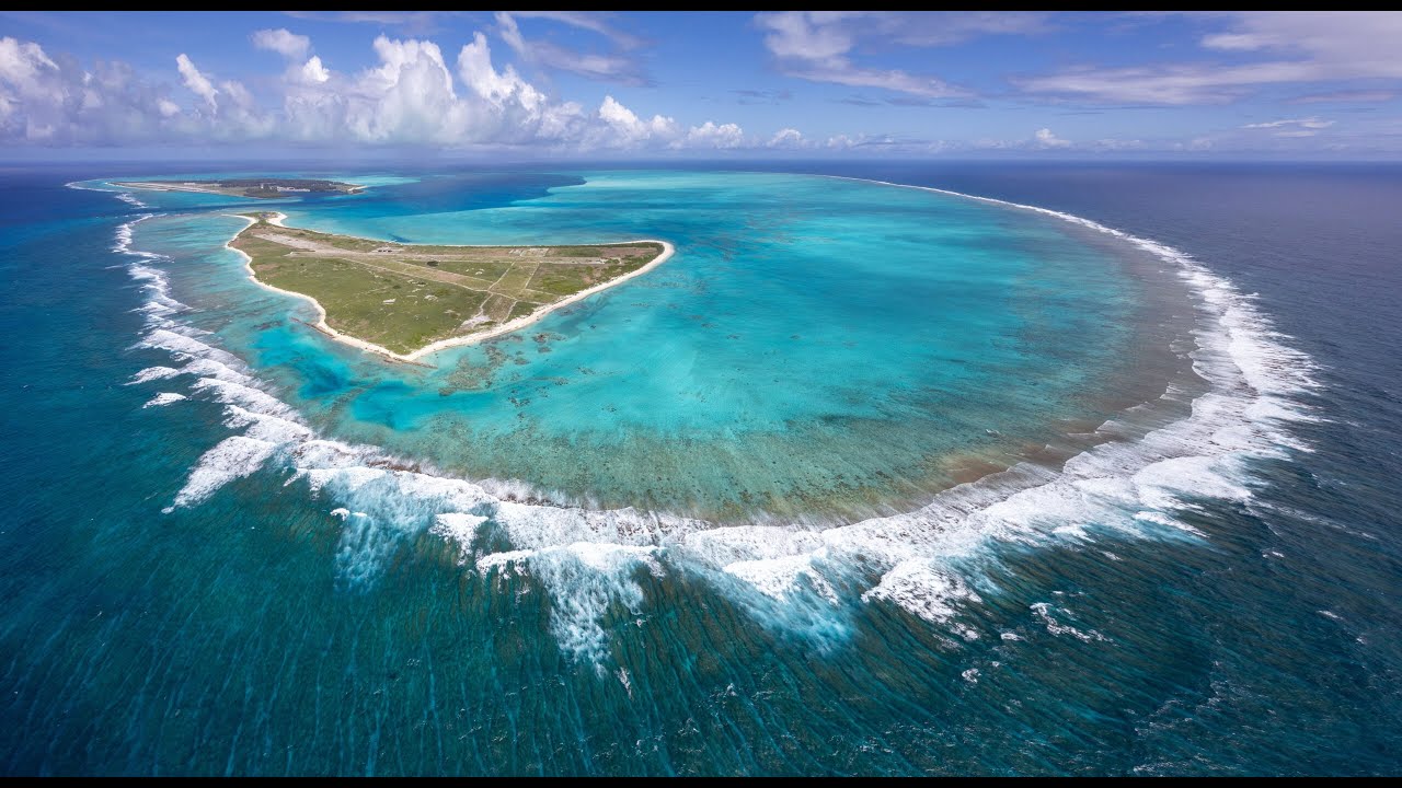 Live webcam view of Midway Atoll Wildlife Cam