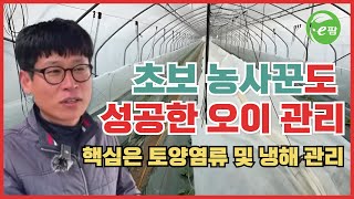 봄 오이 관리 정식 2월 21일!!! 올해는 처음 부터 힘드네??? 그래도 잘 가고있어!!! 농업 영업만 하…