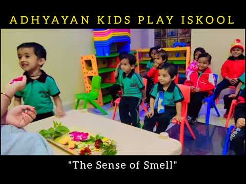 Sense of Smell |  Adhyayan Kids Play iskool