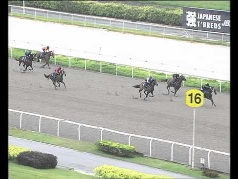 Longines Singapore Gold Cup 2011 on RTV