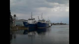 The Fatima Mansions - Big Madness / Monday Club Carol