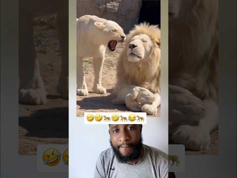 #duet #ekmotahathighumechala 🤣🤣🤣🐆🐆🐆🐆😂😂🐅🐅🐅🐅