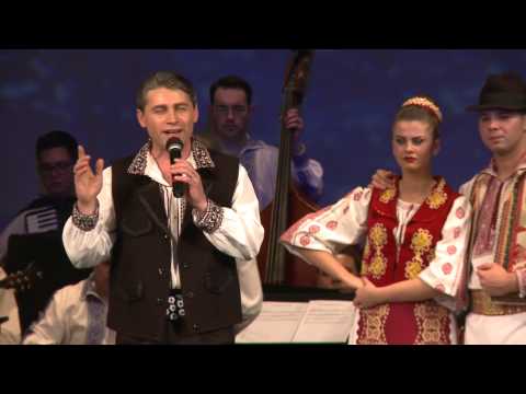 Dumitru Stoicănescu și Orchestra Ansamblul Timișul - Șăd pe prag și-mi număr anii LIVE