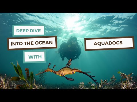 Aquadocs (Aquatic Animal Health Resource)