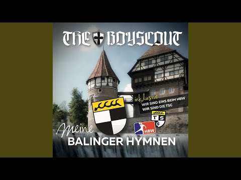 Wir sind Eins beim HBW (2015)