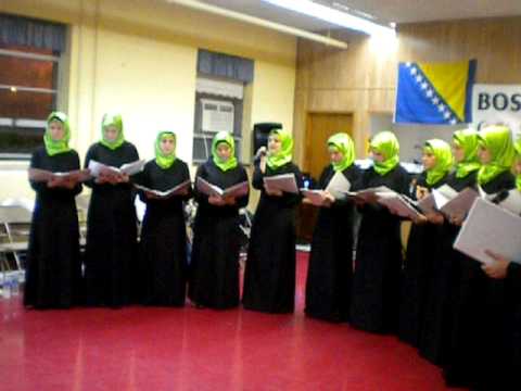 Hor Bulbuli - Ja Mustafa