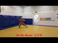 Kung Fu - 5 Stance Fist - Wu bu Quan