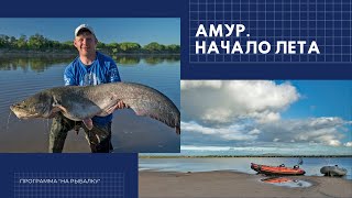 Почему на реке амур половодье наступает летом