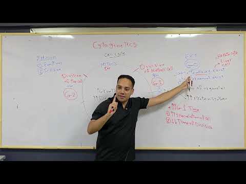Cytogenetics Lecture 1 - Cell Cycle & Cell Death