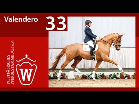 33 Valendero Wallach v. Vitalis - Don Gregory