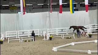 Video von Chacfly Blue