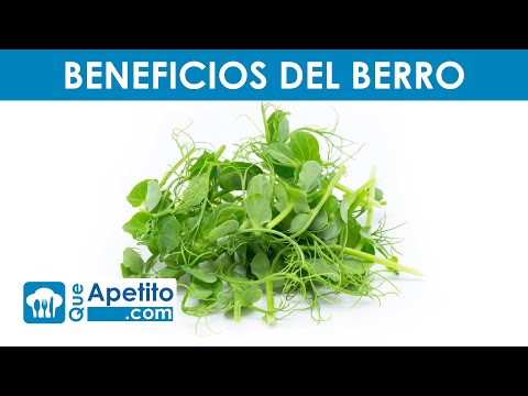8 Properties and Benefits of Watercress 🌿✅ | QueApetito