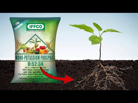 Monopotassium phosphate mkp, 25kg bag