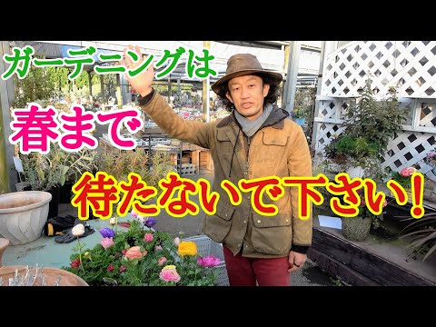 秋のアネモネの切り方:遅咲きの人にはこれが必要 トピックス