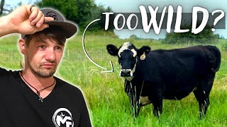 She came from a BUCKING BULL Ranch and went NUTS as soon as she got here!