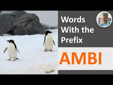 Words With the Prefix AMBI | AMB (7 Illustrated Examples)