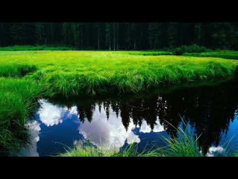 A Fearful Mind Is A Catalyst For Awakening