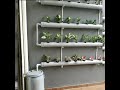 Hydroponics Setup At Home 48 Plants