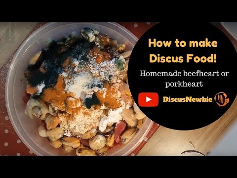 How to make Discus fish food - Beefheart / Porkheart mix