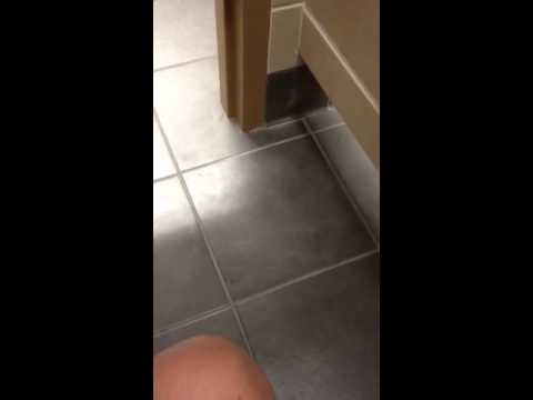 download lagu mp3 mp4 I Love Me A Good Pancake, download lagu I Love Me A Good Pancake gratis, unduh video klip I Love Me A Good Pancake