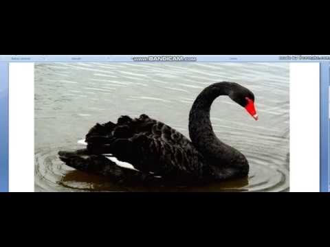 Взгляд на рынок 08.02.20