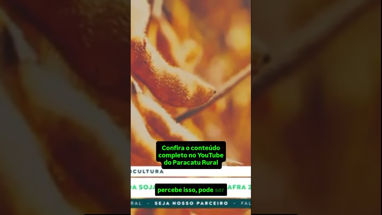 Baixa Produtividade na Soja 26-27? Extremos Climáticos x Manejo