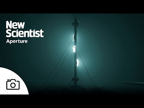 How Philippe Parreno's Voices uses AI to fill a ravaged landscape with meaning