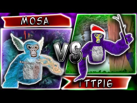 Mosa Vs TTTPig Gameplay Battle, Who is your favorite?