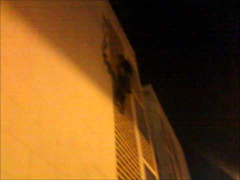 Desabafo de um pixador