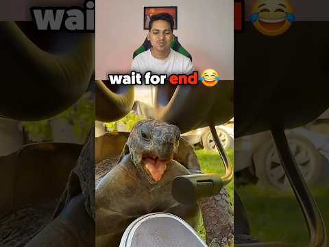 Try not To laugh Challenge pt 323 😂 @jelroolive | Water Challenge | #viral #trending #youtubeshorts