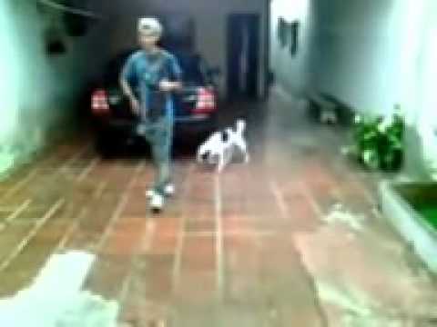 Rebolation Samy sapinho xoxo