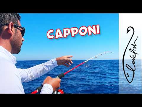 Come pescare i GROSSI SCORFANI