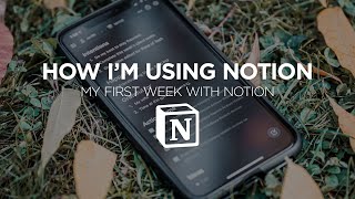 How I'm Using Notion - First Week
