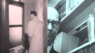 Momus: Ticket (Luxuria cover)