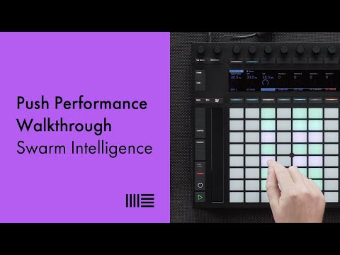 Swarm Intelligence Push 2 Performance Walkthrough