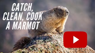 Catch, Clean and Cook a Marmot